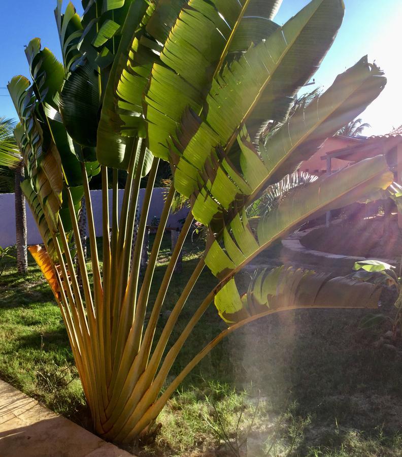 Pousada Kite Guajiru Itarema Exterior photo